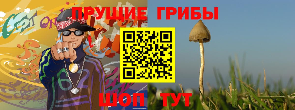 Галлюциногенные грибы мицелий  магазин  наркотиков  Липецк  Вход с VPN 